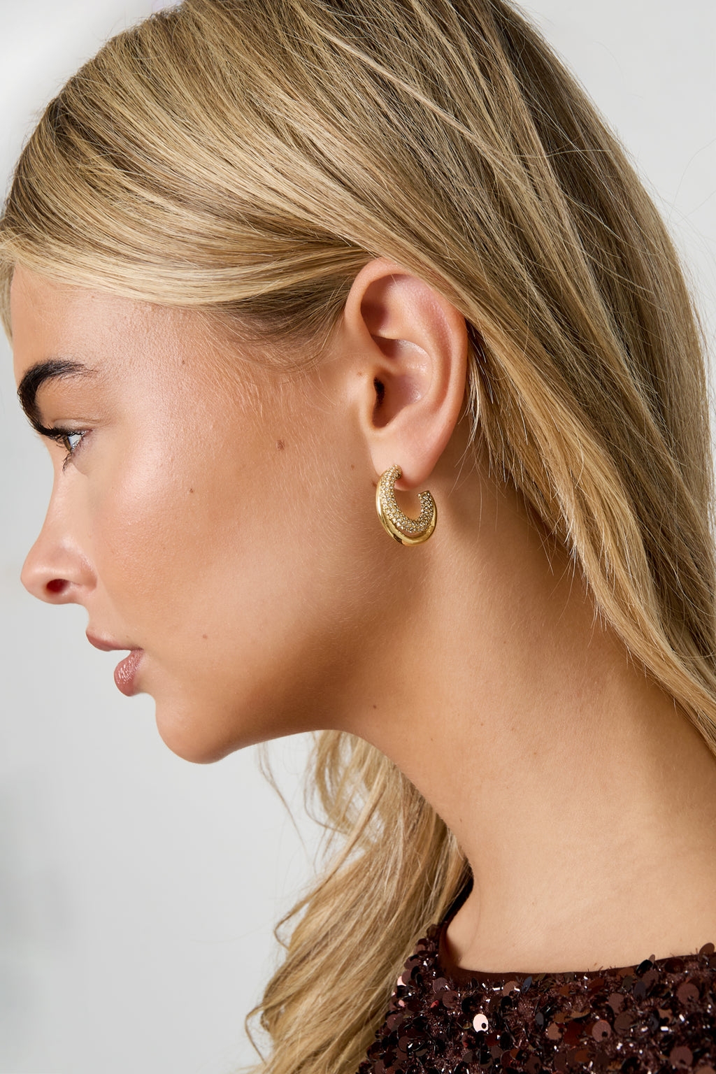 Full circle earrings